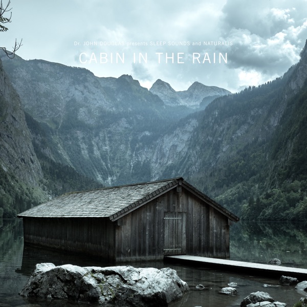 Cabin in the Rain
