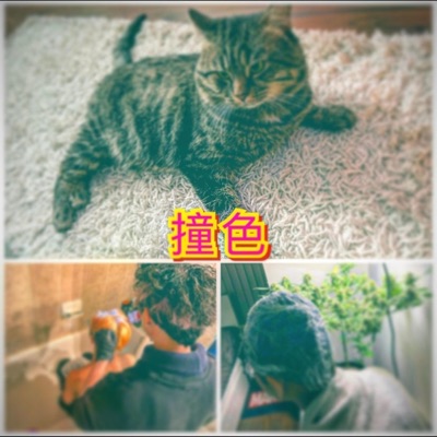 撞色 (feat. CheukLung & Timnawty) - Single