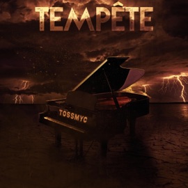 Tempête Tossmyc