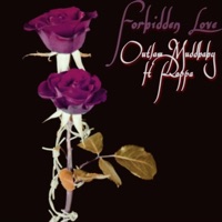 Forbidden Love (feat. Poppa) [Radio Edit] [Radio Edit] - Single - Outlaw MuddBaby
