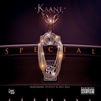 Special (feat. Spoony & Bro Bro) - Single - Kaane Koleone