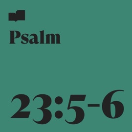 Psalm 23:5-6 (feat. A Boy and His Kite) Verses