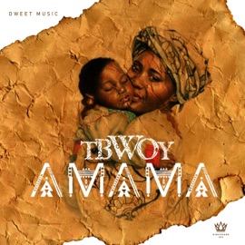 Still In Love (feat. B-flow) Tbwoy