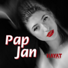 Hayat Project - Pap Jan artwork