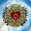 Circle Back