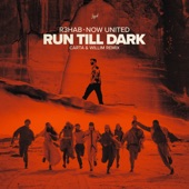 Run Till Dark (Carta & Willim Remix) artwork