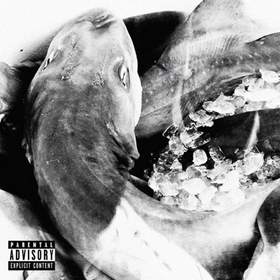 DAISY (feat. Menchobusy) - Single