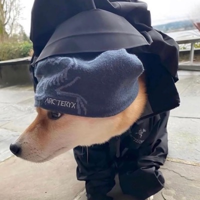 So Different (feat. glasscastle) - Single