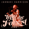 Into the Forest (Live) - Jahnavi Harrison