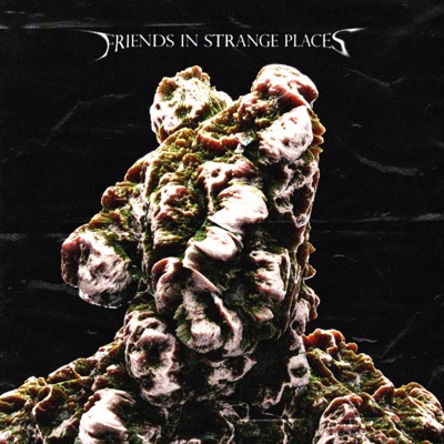 Friends In Strange Places - Single