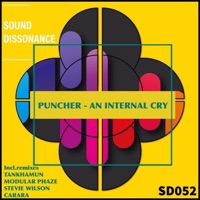 An Internal Cry - Puncher