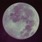 Fuzzy Moon - Jonny Kaine lyrics