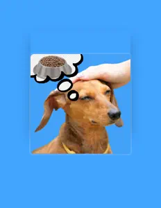 聆聽 pATATARTE、觀看音樂影片、閱讀小傳、查看巡演日期等！