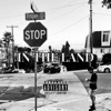 In the Land - Single