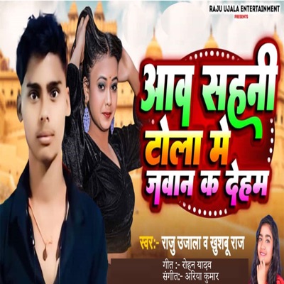 Aaw Sahani Toli Me Jawan K Deham - Single