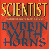 Scientist Meets Roots Radics Dubbin with Horns artwork