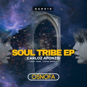Soul Tribe - Single