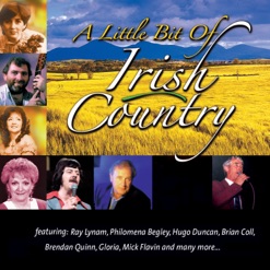 A LITTLE BIT OF IRISH COUNTRY cover art