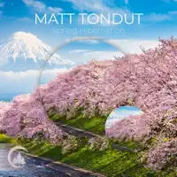 Spring Hibernation — Matt Tondut