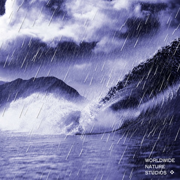 Ocean HD Rain - EP