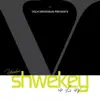 Yaakov Shwekey - Music of Forever