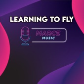 Learning To Fly (Instrumental Version) artwork