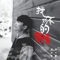 找不对的爱情 - Single - 蘇一音 & Ermo Su