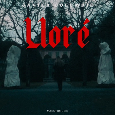 Lloré - Single