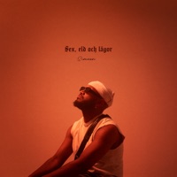 SEX, ELD & LÅGOR - EP - Simeon