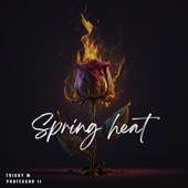Spring Heat (feat. Shimza) artwork