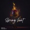 Spring Heat (feat. Shimza) artwork