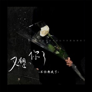 又想你了 - Single