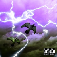 Through the Storm - Byrd1
