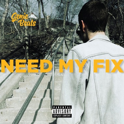 NEED MY FIX (feat. Saint Boyd) - Single