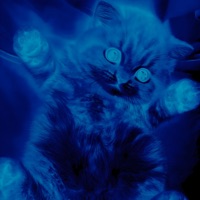 LISTEN (slowed) - Single - BINBXNE