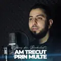 Am trecut prin multe