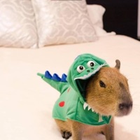 Cry - Single - Kayoon