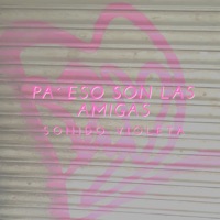 Pa' Eso Están las Amigas - Single - SONIDO VIOLETA