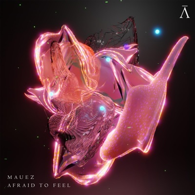 Afraid To Feel - Single