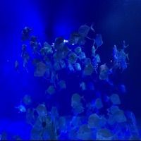 Losing My Mind (feat. Alex Holden) - Single - Harvey Humphries