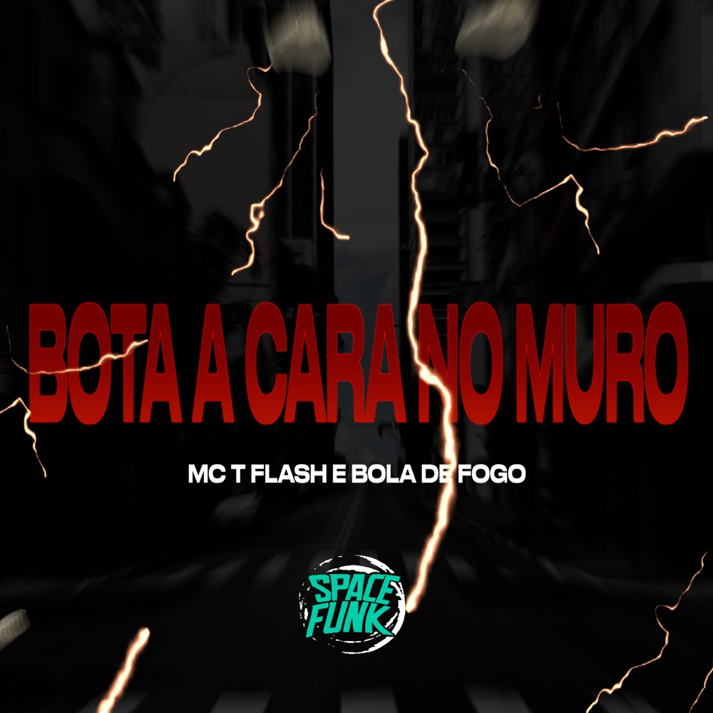 Обложка альбома «Bota a Cara no Muro - Single» — MC TFlash, Bola De Fogo & DJ Hud Original