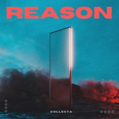 Reason artwork