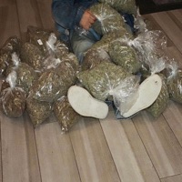 ninja - Single - Jozzu