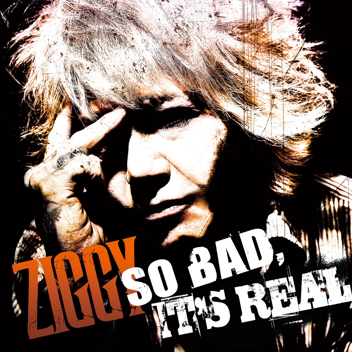 送料無料 日本 It's Bad, So Real Music Apple - ZIGGY by Album - ポップス+ロック(邦楽)