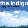 the Indigo