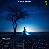 Seya artwork