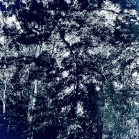 did You Mean It? - Single - Cope