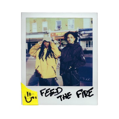 FEED THE FIRE (feat. Sam Wise) - Single