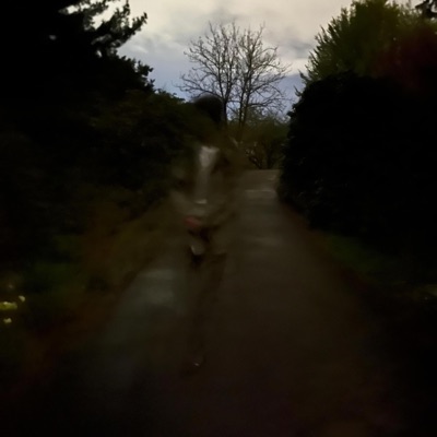 Daisies and Roses - Single