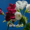 ROMANCE - Single